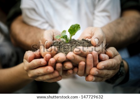 Hands Of Farmers Family Holding A Young Plant In Hands