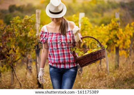 Woman  in walking through a vineyard with grapes basket
