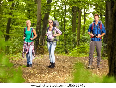 young people walking in forest.
