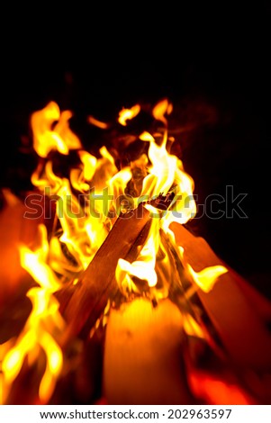 Camp fire in the night, fire flames on a black background