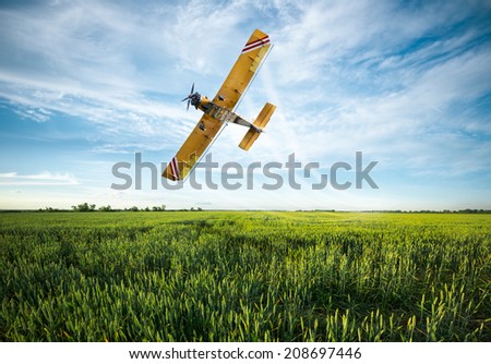 flying yellow plane sprayed crops in the field
