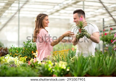 Customer seek advice of the seller for the purchase of flowers in glasshouse store