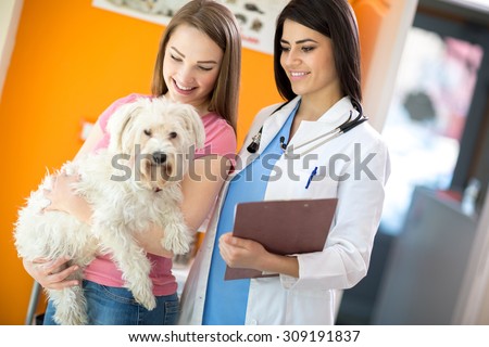 Female owner with her beautiful Maltese dog and veterinarian at vet ambulant