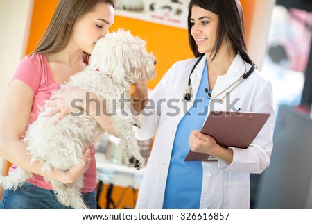 Beautiful young veterinarian comforting Maltese dog in vet clinic