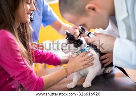 Veterinarian at work checking cat\'s hearing at vet ambulant