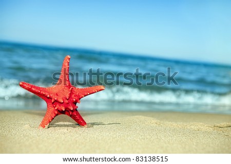 Bumpy red Starfish in the sand with bright blue sky and white clouds in the sky