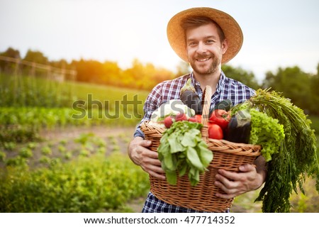 Man holding basket with healthy organic vegetables