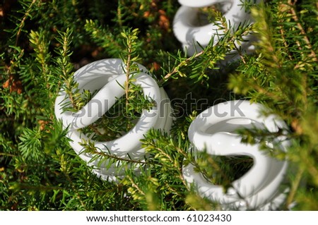 Save energy bulb with pine tree background