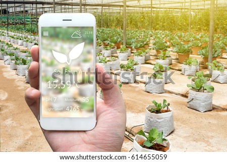Smart agriculture, farm , sensor concept. Farmer hand using mobile phone for monitoring property of soil (pH, moisture , light level) in plant vegetables farm. Flare light effect