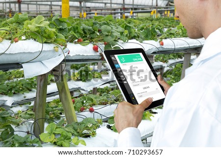 Smart agriculture, farm , sensor technology concept. Farmer hand using tablet for monitoring temperature , humidity , pressure , light of soil in strawberry farm.