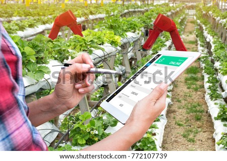 Smart agriculture, vertical farm , sensor technology concept. Farmer hand using tablet for monitoring temperature , humidity , pressure and light of soil in strawberry farm and control ai robot arm.