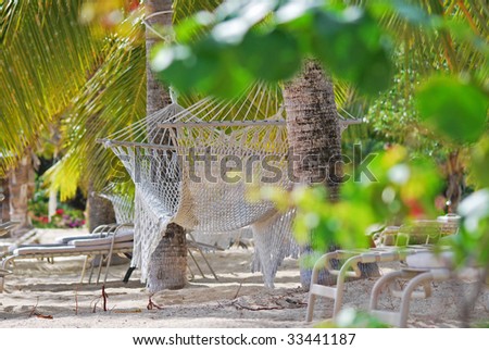 view of white hammock on the beach between palms