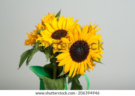 Bouquet of sunflowers in a green vase. Isolated on white
