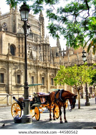Seville horse