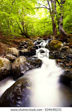 tranquil scenery landscape in deep bulgarian forest; cold forest stream