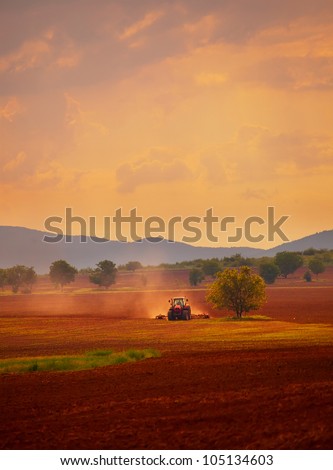 HDR vertical landscape; sunset over the cultivated farmland