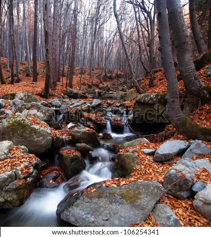 Mountain Stream In Deep Bulgarian Forest
