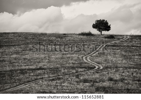 abstract countryside black and white landscape