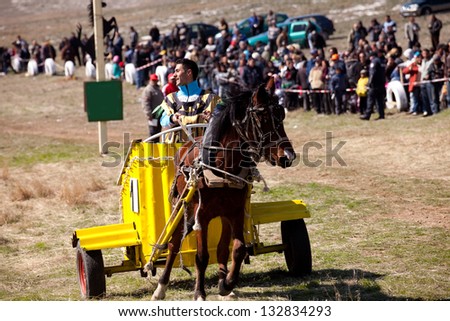 NOVO SELO, BULGARIA- MARCH 23: Young gypsy riding chariot in traditional gipsy horse riding games  held each year on March 23 , 2013 in Novo Selo, Bulgaria
