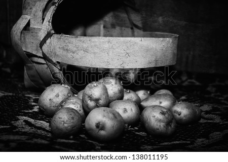 black and white agricultural still life with potatoes