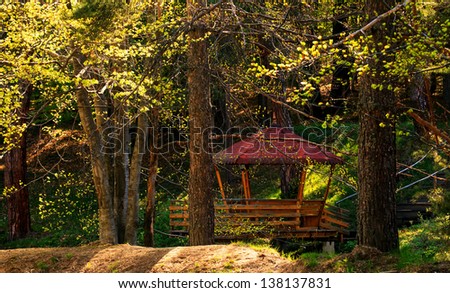 forest cabin shelter over the  sunrise light- soft green colors
