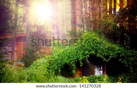 fantasy forest mystical house covered with green leaves