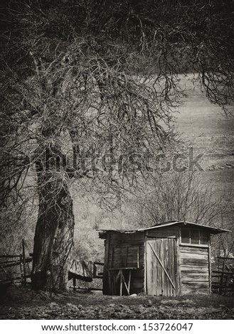 vintage spooky background with old creepy tree and wooden house