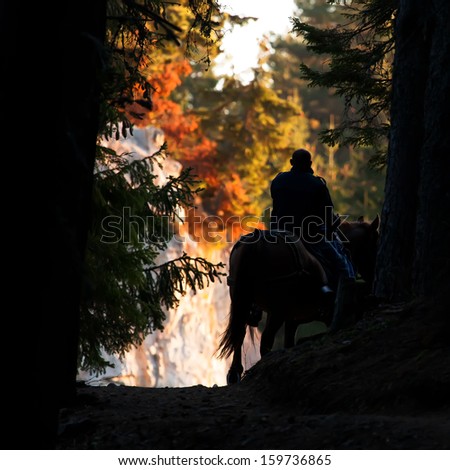 man riding horse in sunny autumn forest- cold sunrise light and collours