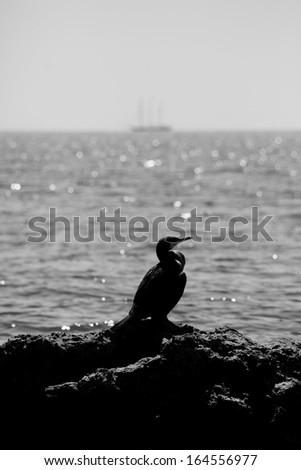 vertical black and white seascape with bird in the rocks and boat on horizon