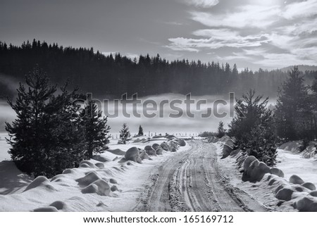 black and white winter landscape with road to fogy forest