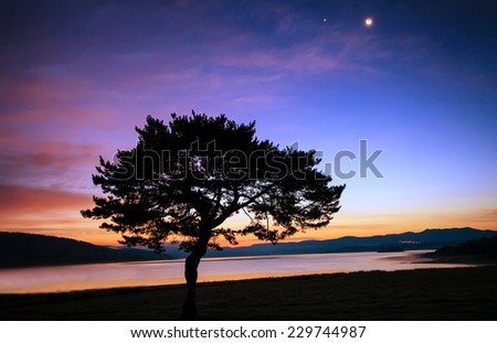 abstract tree silhouette over the moon sunrise near lake