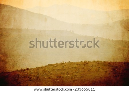 old vintage pastoral landscape with herd of sheep in the mountains
