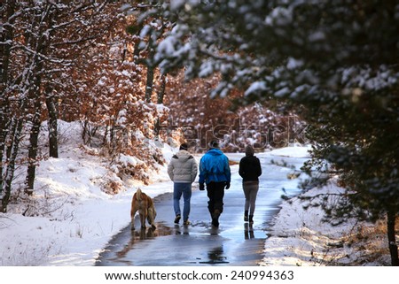 A group of tourists and dog on a winter walk in the winter  forest path