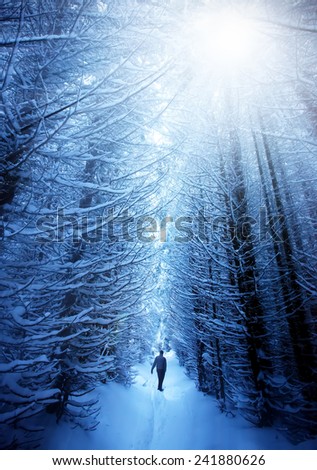 sunset over the path in a winter deep forest - trees covered with snow and a man walking in distance