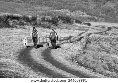 two man and dog walk on dirt road in sunset time, black and white landscape