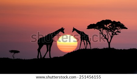 Giraffes and africans tree at sunset, abstract african illustration landscape with big sun over the horizon