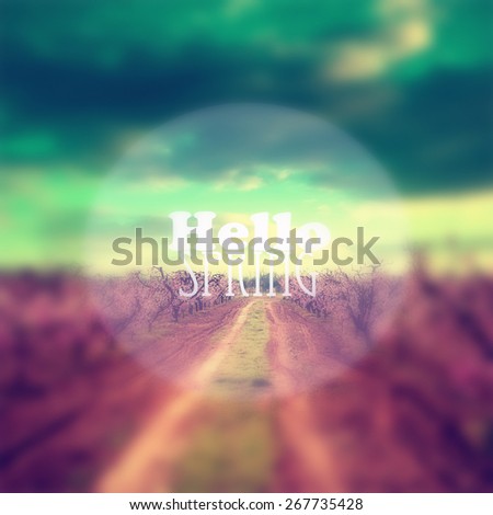 abstract filtered and blurred spring background design with \