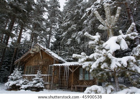 snow shelter in the bulgarian winter forest