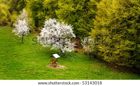 bulgarian nature spring landscape; forest wallpaper