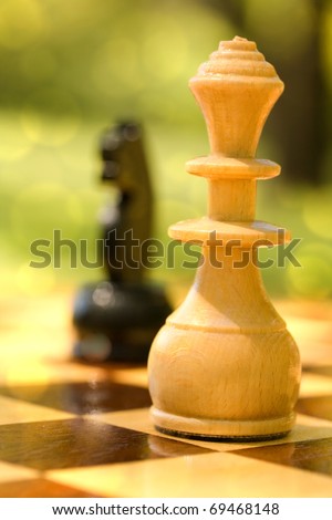 chess in park leisure game