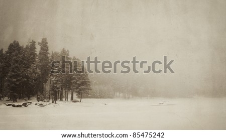 vintage winter landscape with spooky tree and frozen lake