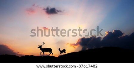 Scenic abstract HDR landscape with two animal silhouette