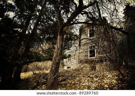 abandoned spooky house in deep mystery wood