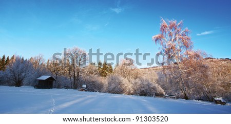 winter park in dusk time; beautiful nature landscape for wallpaper or background