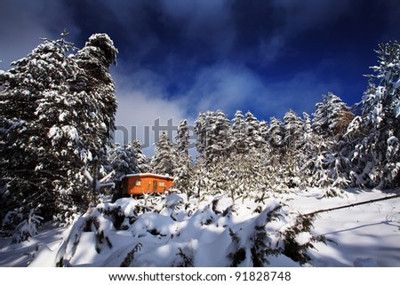 blue winter snow landscape with forest shelter; winter bulgarian wallpaper