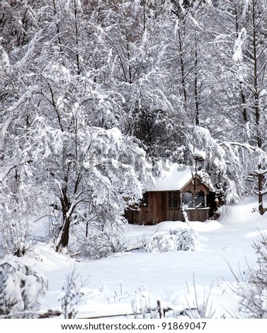 winter vertical landscape with wooden forest snow shelter