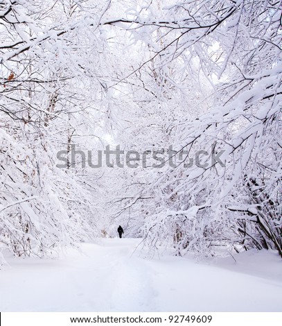 Path in a winter deep forest - trees covered with snow and a man walking in distance