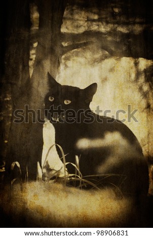 vintage black scary cat textured background