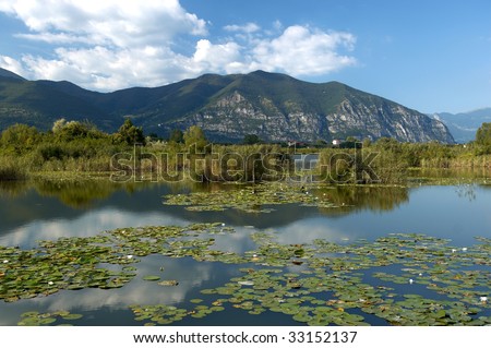 Provaglio (Bs),Franciacorta,Lombardy,Italy,National Reserve of Peat Bogs of lake Iseo