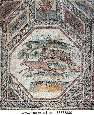 Desenzano del Garda (Bs),Lombardy,Italy, ancient Roman palace of the third century D.C.  ,  the mosaics floor